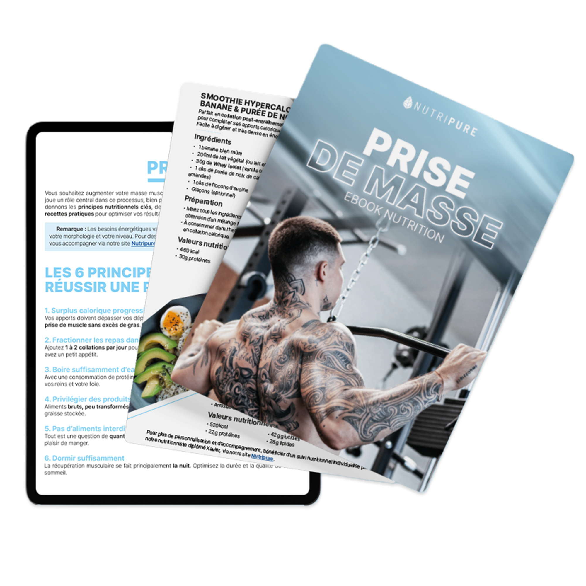 Ebook Nutrition Prise de Masse Nutripure